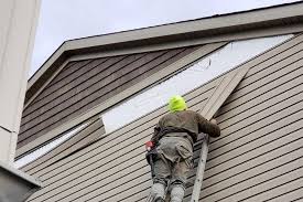 Best Vinyl Siding Installation  in Nanticoke, PA